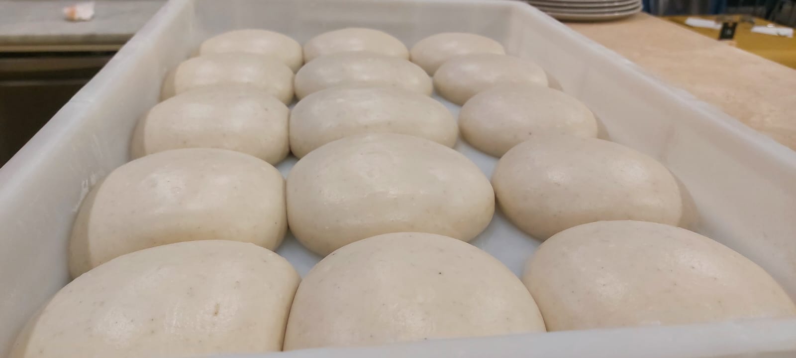 Panetti Pizza in Lievitazione